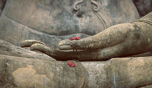 Buddha Hand Detail Blume